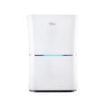 main